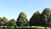 Image-1588