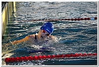 Image-1772