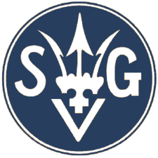 svg-logo