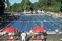 Image-2009
