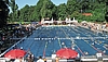 Image-2009
