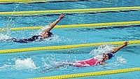 Image-1332